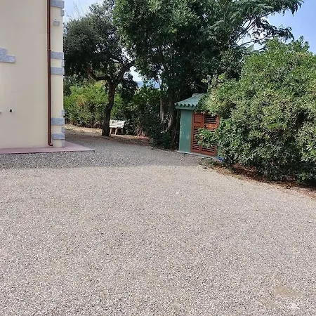Sunny House